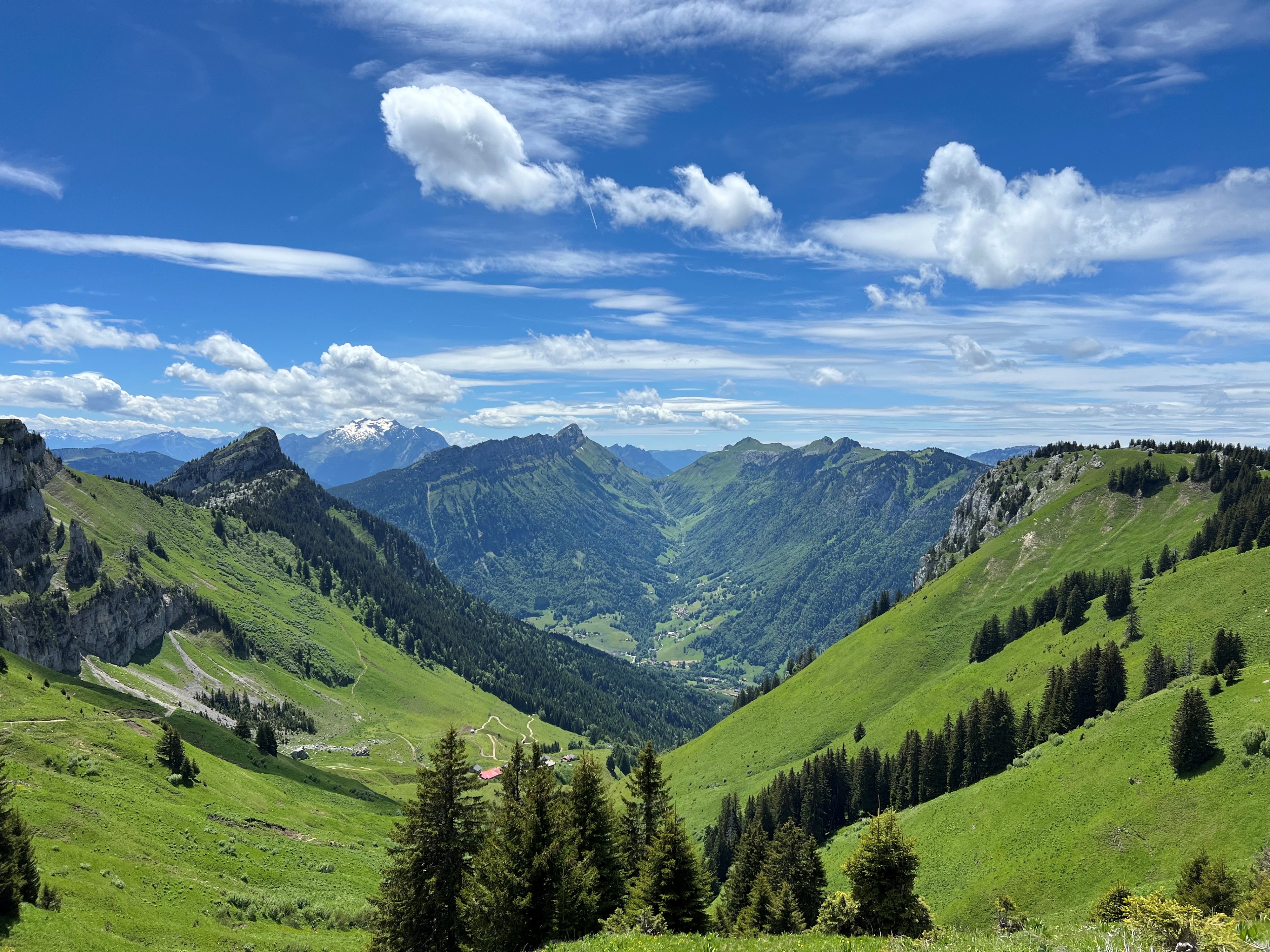 Aravis